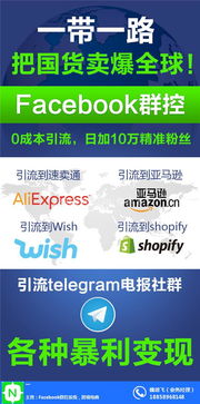 Facebook群控软件 技术研发、应用场景与价格解析