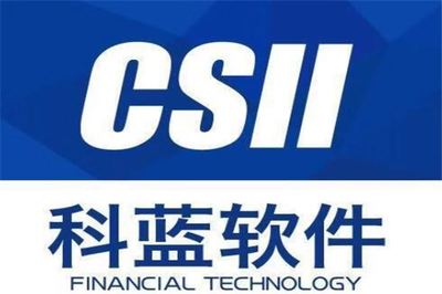 电子政务龙头股排行榜 顶点软件领跑，雄帝科技位列第八